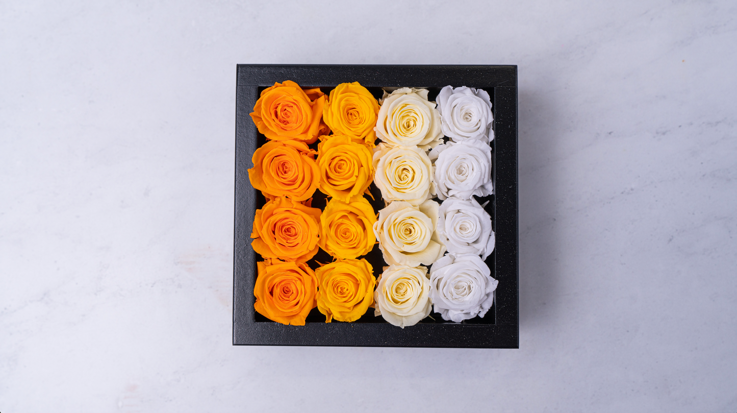 Bloombox - 16 Count