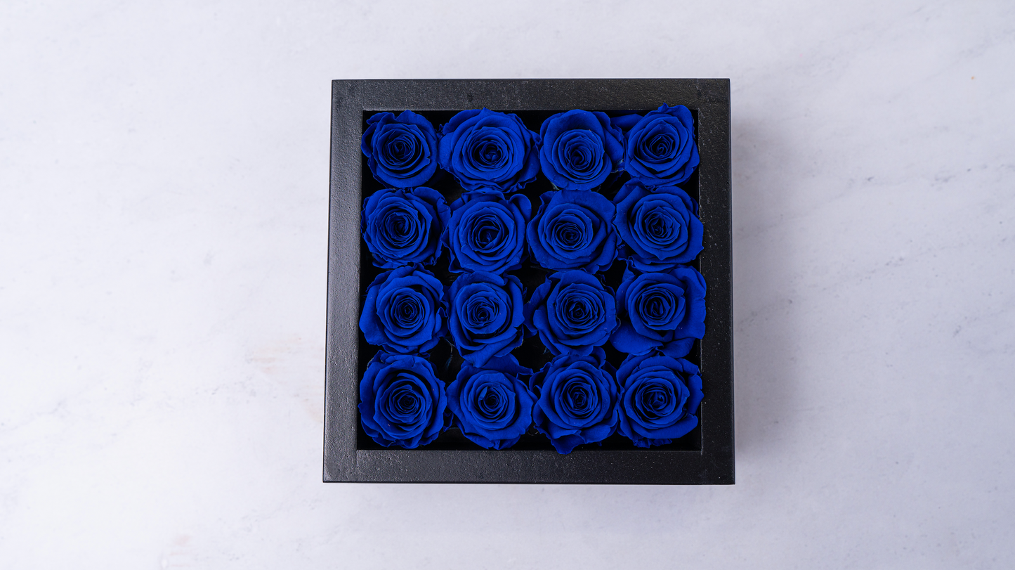 Bloombox - 16 Count