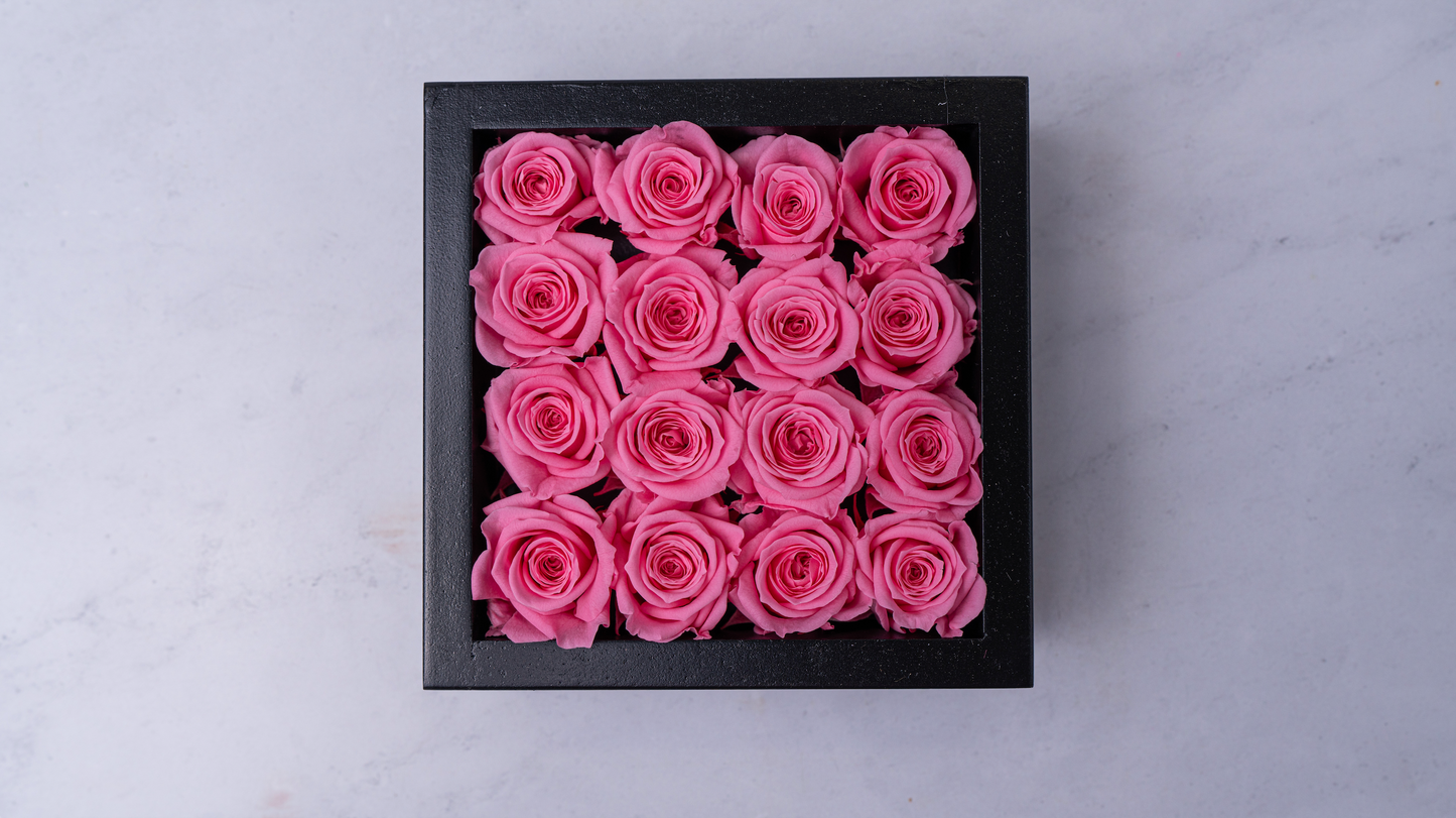 Bloombox - 16 Count