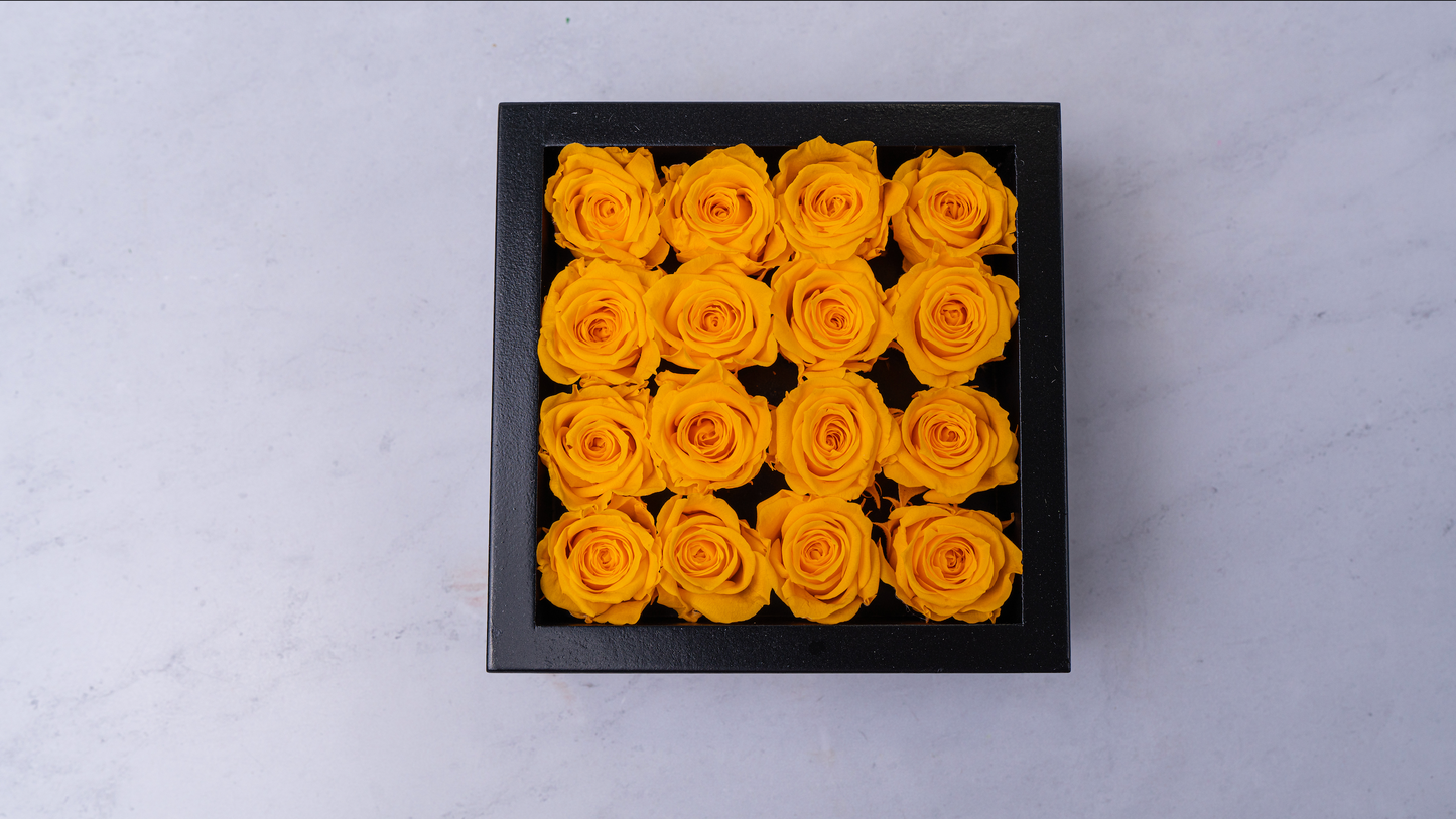 Bloombox - 16 Count