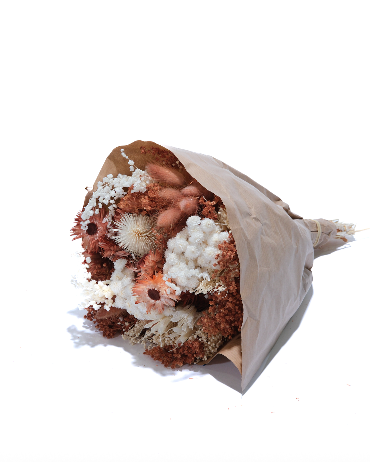 Terracotta w/ White