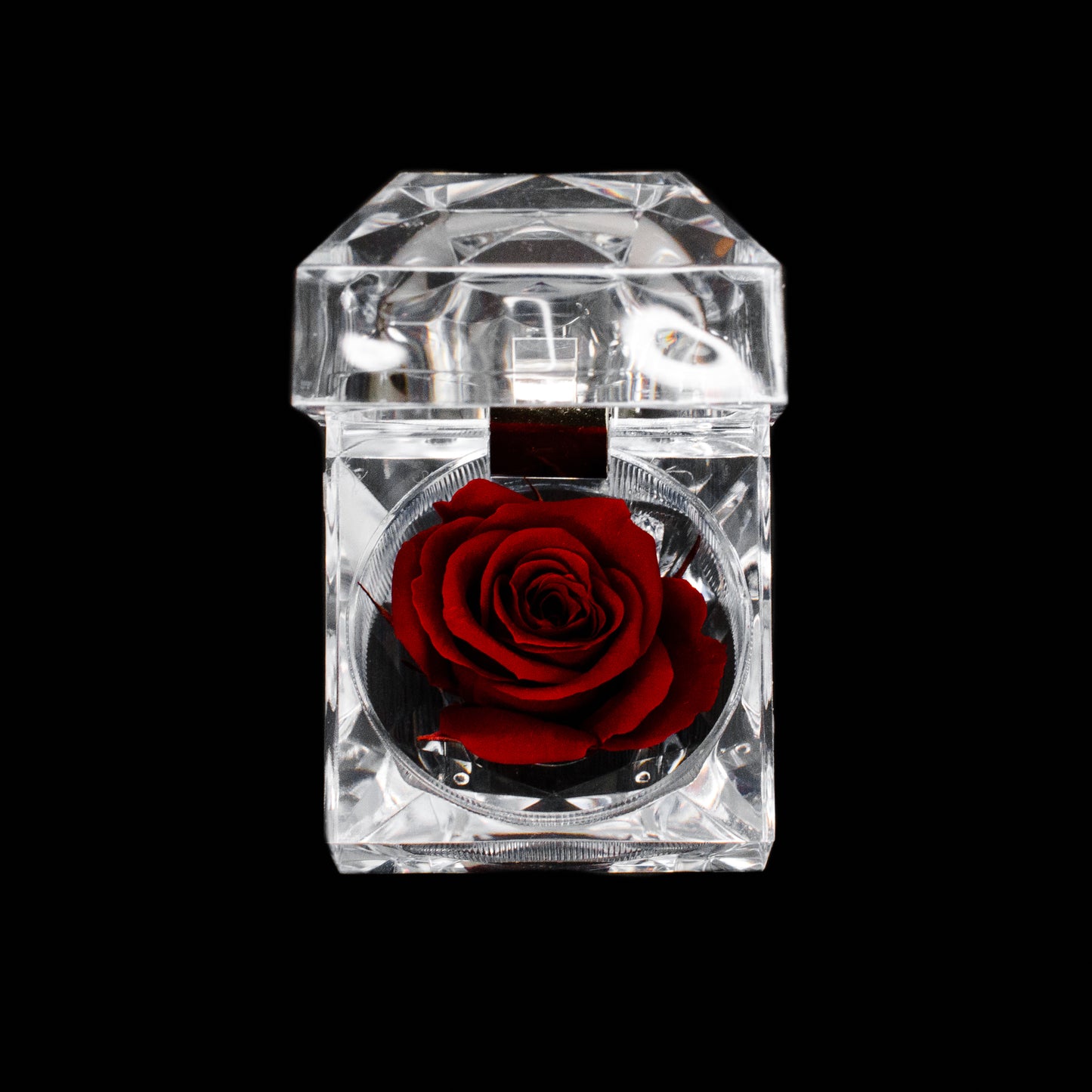 Rose Jewel Box