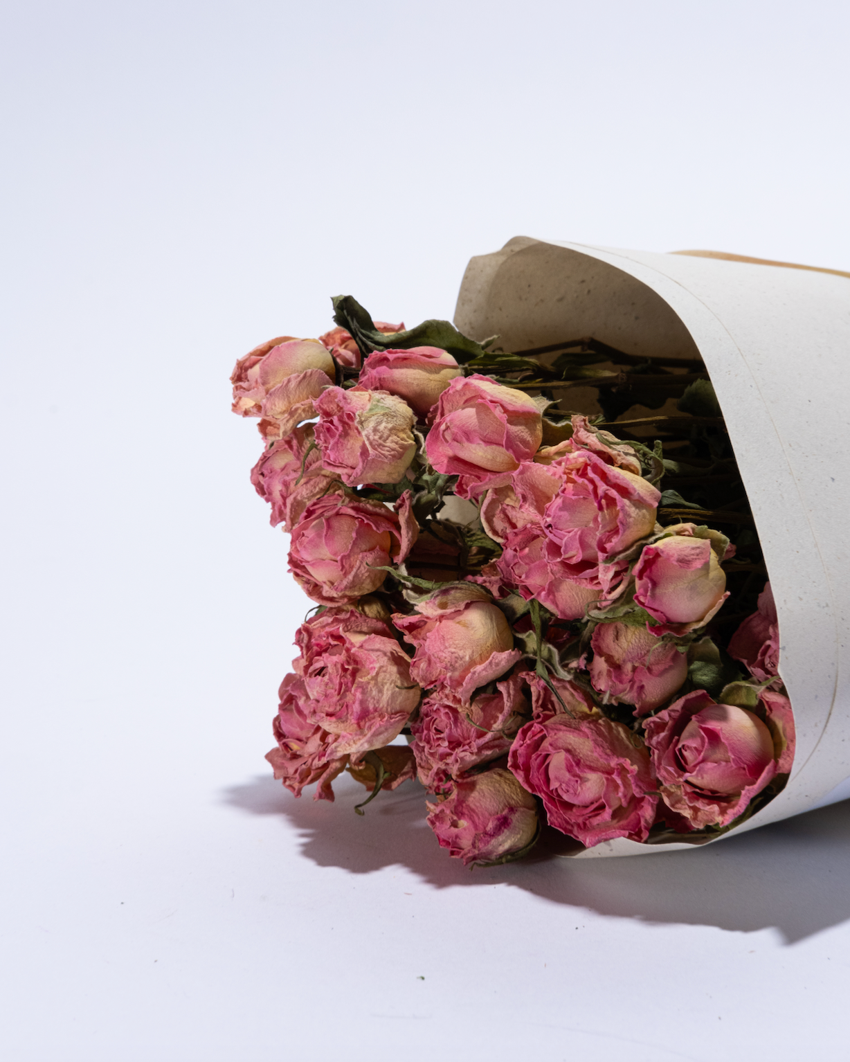 Spray Roses