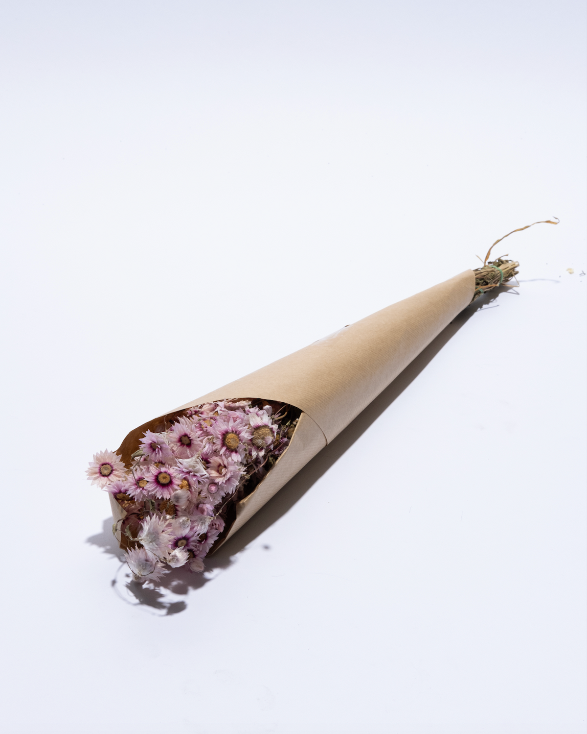 Bunch of dried pink rhodanthe flowers
