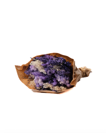 Pastel Lavender - Medium