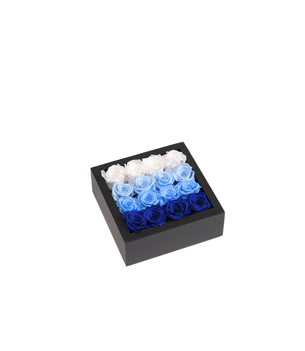 Bloombox - 16 Count