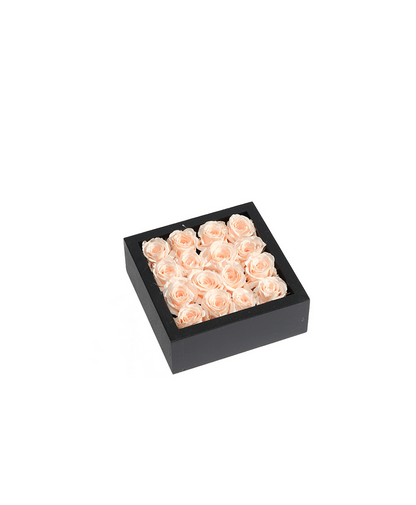 Bloombox - 16 Count