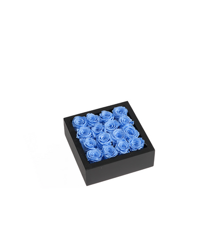 Bloombox - 16 Count