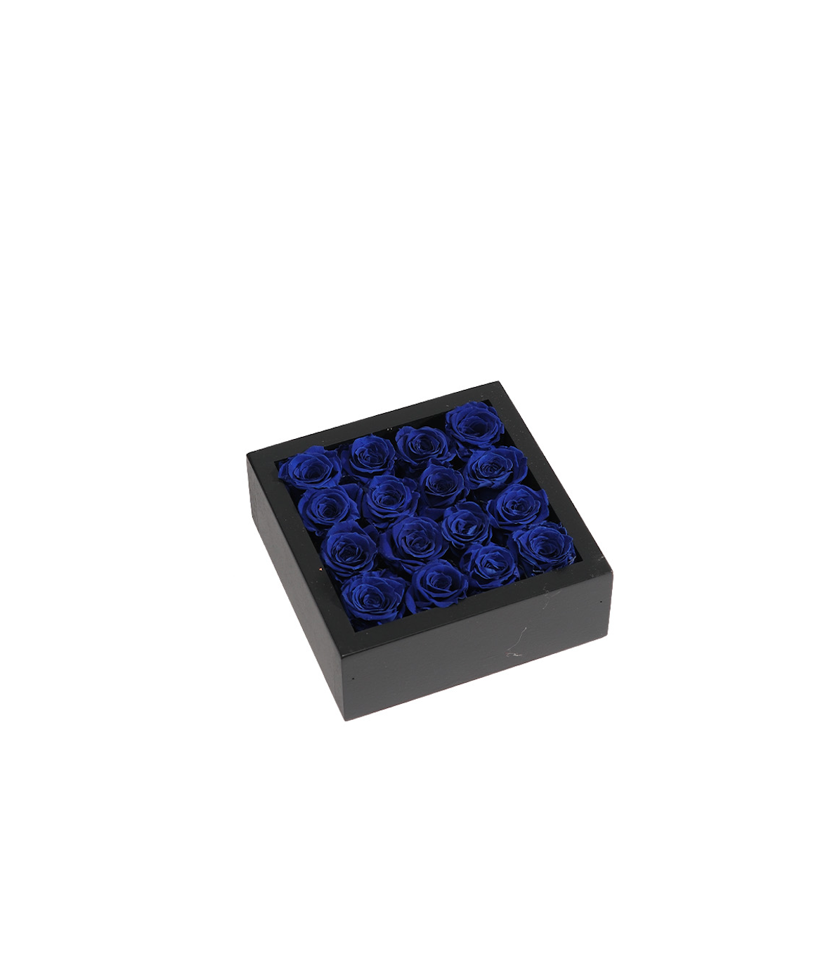 Bloombox - 16 Count