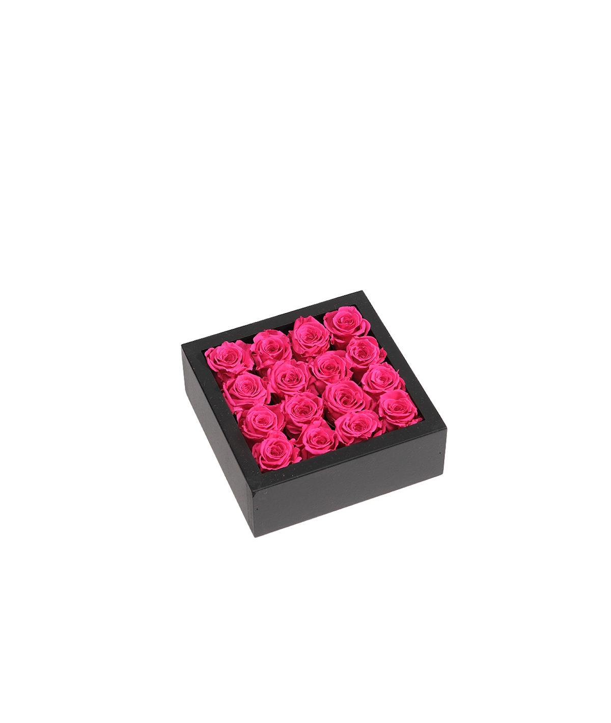 Bloombox - 16 Count