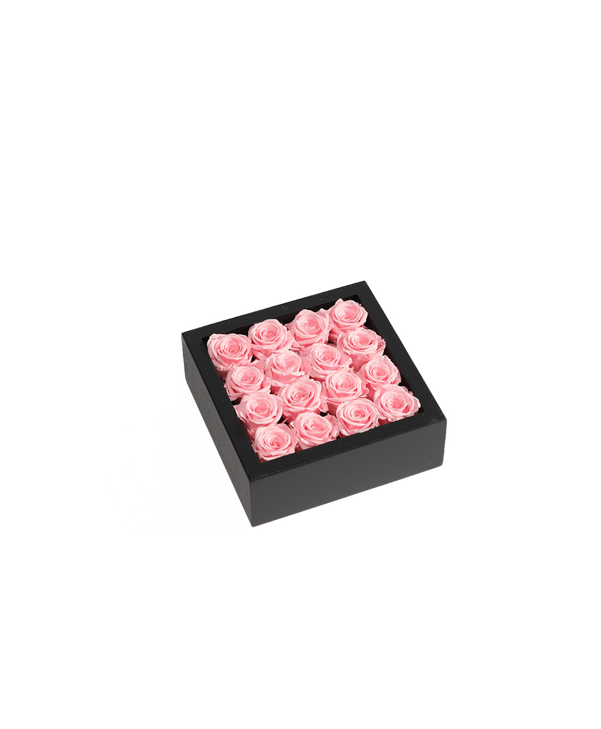 Bloombox - 16 Count
