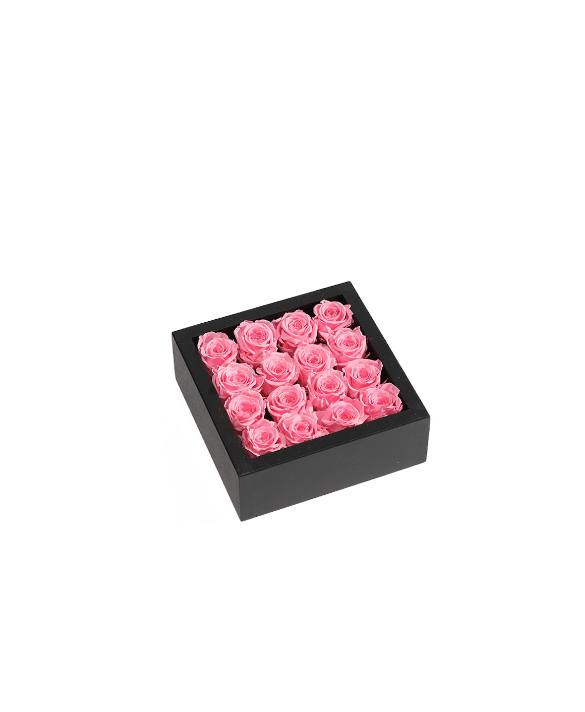 Bloombox - 16 Count