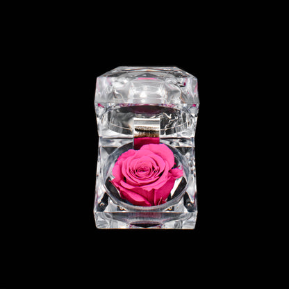 Rose Jewel Box