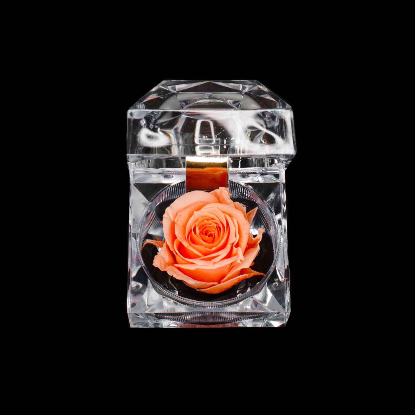 Rose Jewel Box