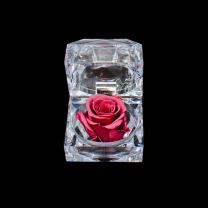 Rose Jewel Box