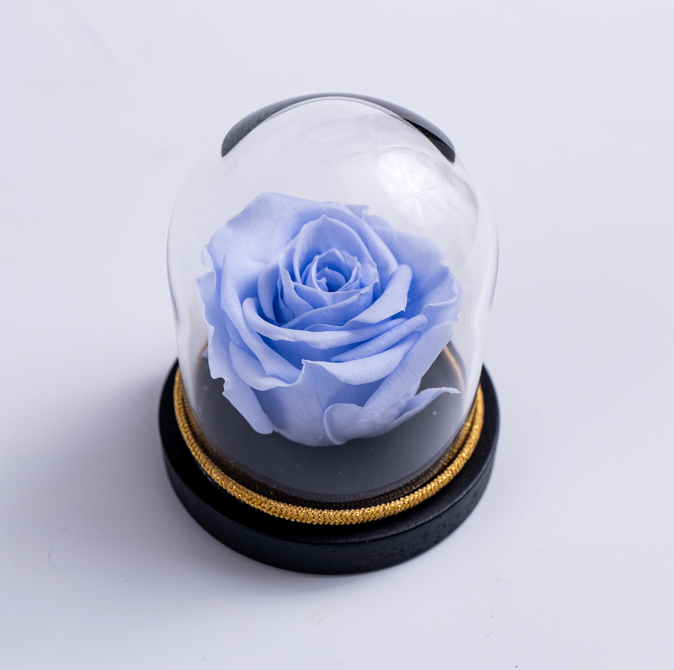 Mini Rose Dome