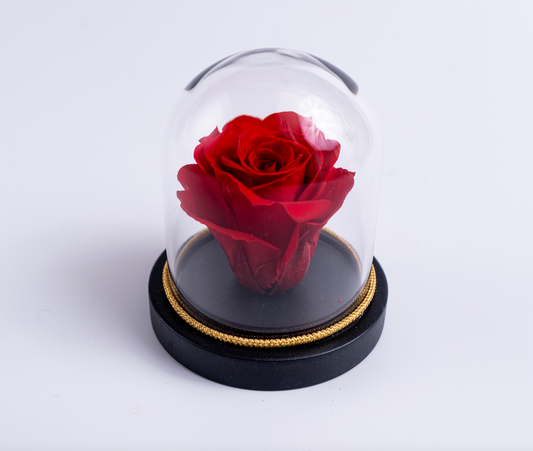 Mini Rose Dome