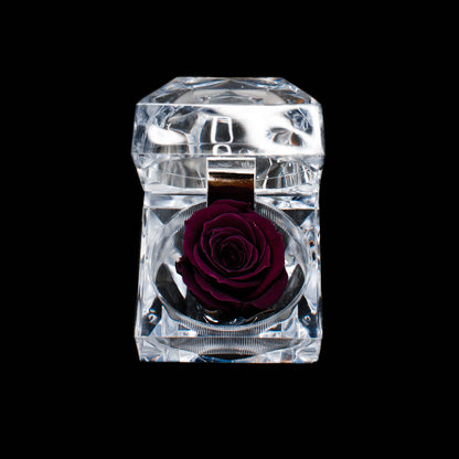 Rose Jewel Box